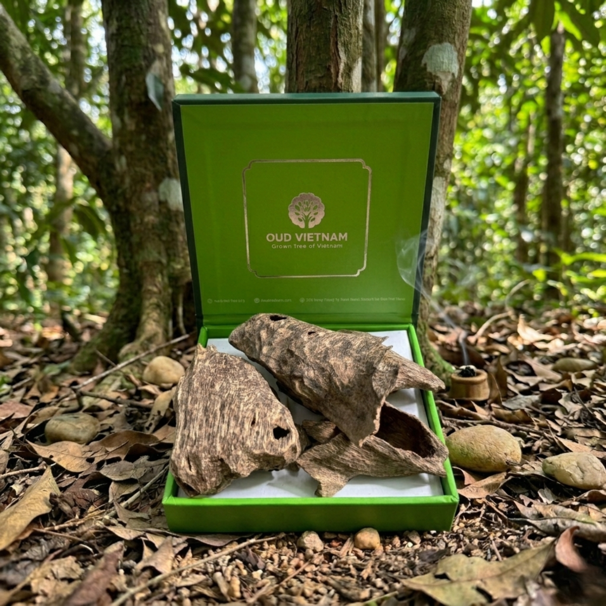 Oud/Agarwood Chips